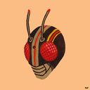 romanhenshin's profile picture