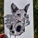 keeleycats's profile picture