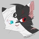 chimestial's profile picture