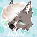 _mushlya_'s profile picture