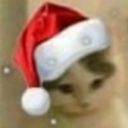 telavachi's profile picture