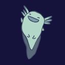 dodosaurus's profile picture