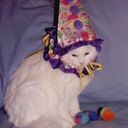 snufket's profile picture