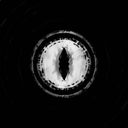 laraciminiti's profile picture