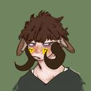 lemonnade's profile picture