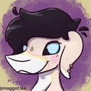 maggottea's profile picture