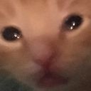 susasho's profile picture