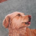andrea_lange's profile picture