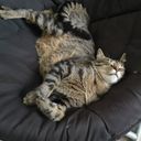 garyjamroz's profile picture