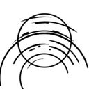 shadooshe's profile picture