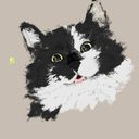 taworkiii's profile picture