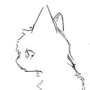 sgnihtecin's profile picture