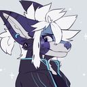 ckzqv's profile picture