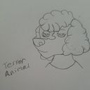 terroranimal's profile picture