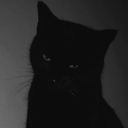 hi_arts's profile picture