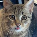 aridani's profile picture