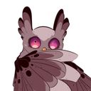 owlo_awt's profile picture