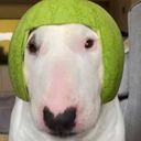 ajax_kom's profile picture