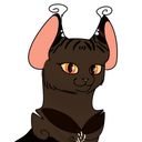 featherdeaguila's profile picture