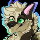 raaknou's profile picture