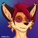 tomatttoso's profile picture