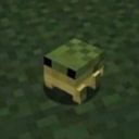 tuhfrrd's profile picture
