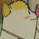 rainbowdelicartz's profile picture