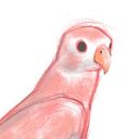 deniserartworks's profile picture