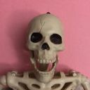 spookyveggies's profile picture
