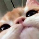 insert_name's profile picture