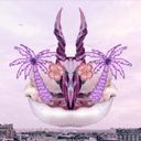 seanova's profile picture