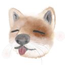 varniskid's profile picture
