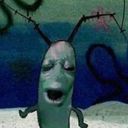 otter_droid's profile picture