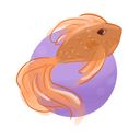 1amyu's profile picture