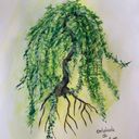 thewillowtreecorlia's profile picture
