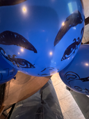 fanasty's profile picture