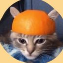 pingubluu's profile picture