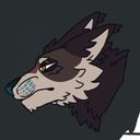 canid_draws's profile picture