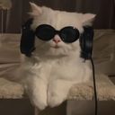art_creator's profile picture