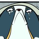 frenchcorgi21's profile picture