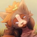 pool_shire's profile picture