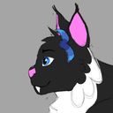 ashcifer's profile picture