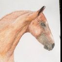 luzagal_draw's profile picture