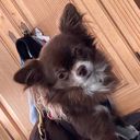 alymaja's profile picture