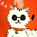 nikyolkunn's profile picture