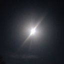 thenightseason's profile picture