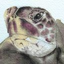 anjasart's profile picture