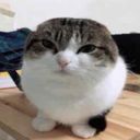 discuwu's profile picture