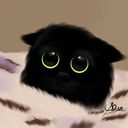 artdan12's profile picture