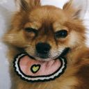 theoyru_u's profile picture